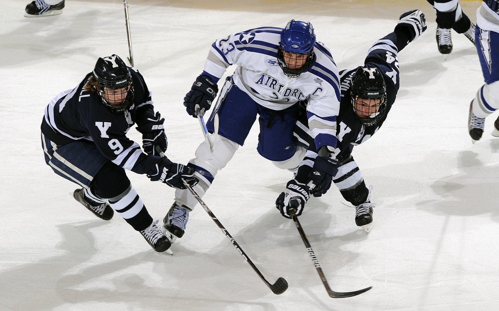 大型森林高空绳索探索，刺激十足的极限体验，高空绳索训练架